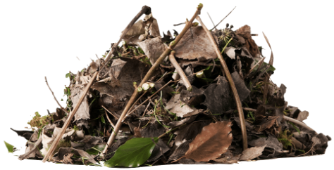 garden waste pile